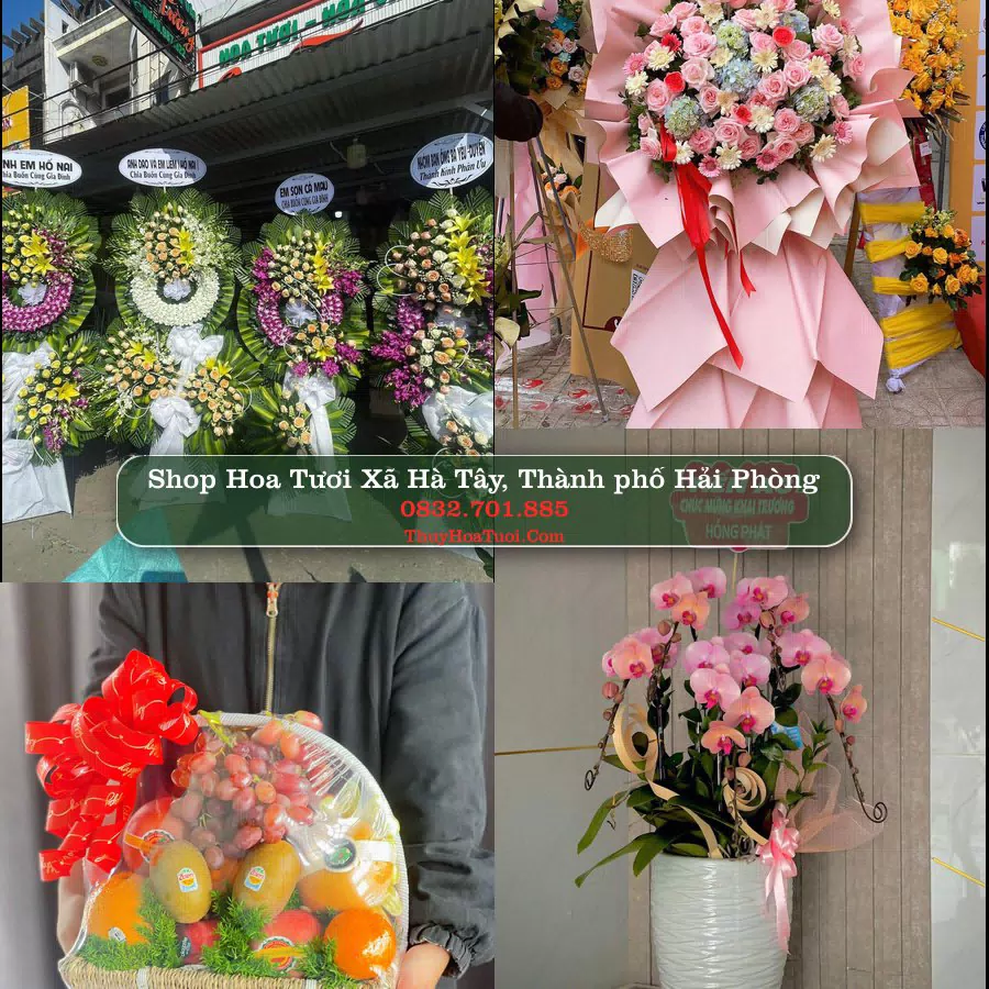 Shop Hoa Tươi Xã Hà Tây - Thành phố Hải Phòng