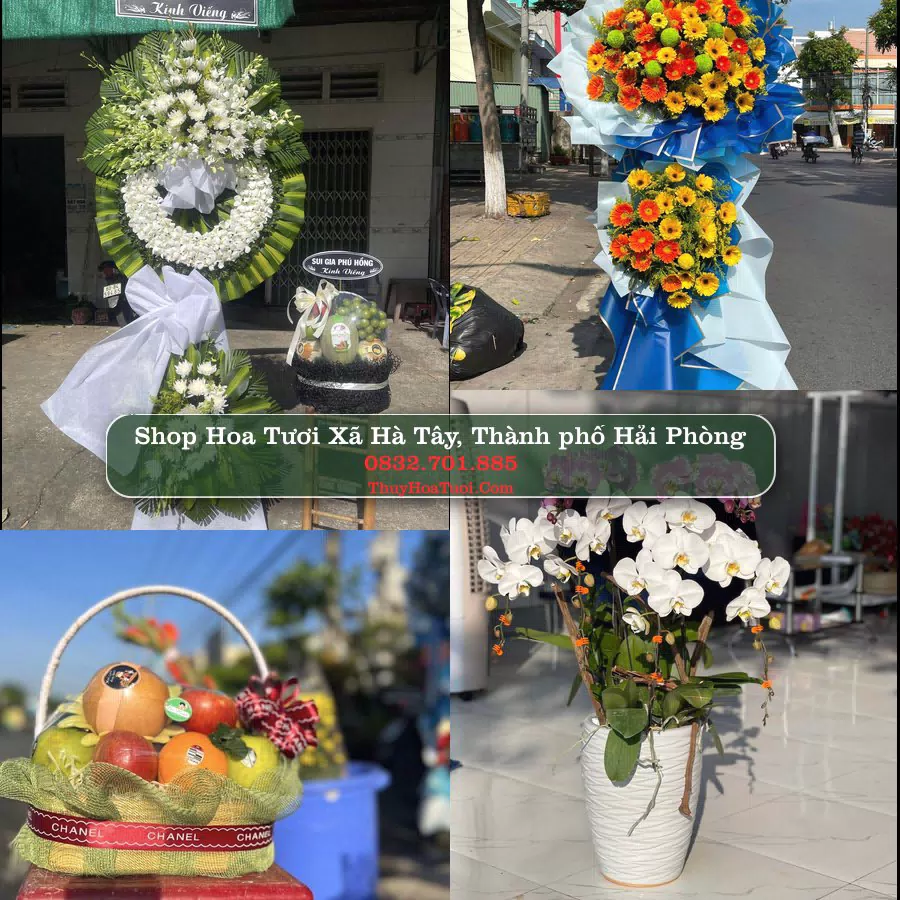 Shop hoa tươi Xã Hà Tây, Thành phố Hải Phòng - ThuyHoaTuoi.Com giao hoa tận nơi