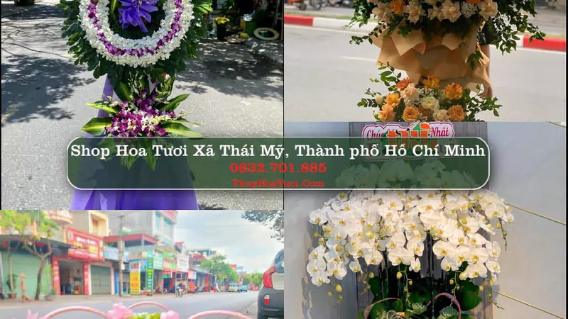 Shop Hoa Tươi Xã Thái Mỹ - Thành phố Hồ Chí Minh