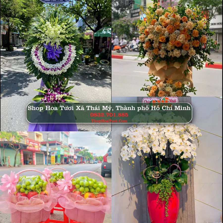 Shop Hoa Tươi Xã Thái Mỹ - Thành phố Hồ Chí Minh