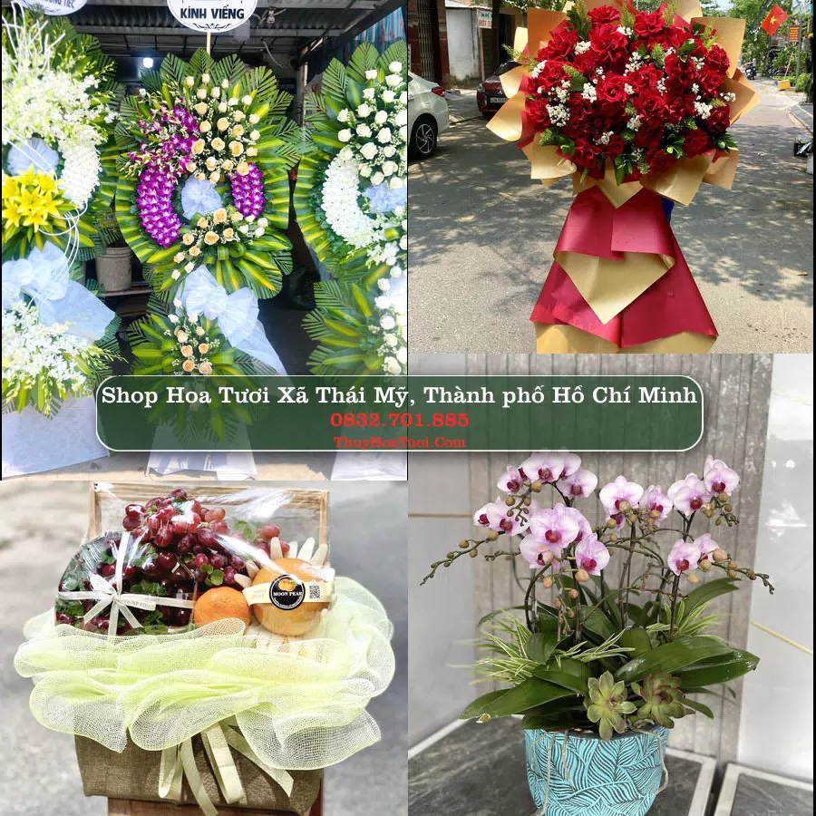 Shop hoa tươi Xã Thái Mỹ, Thành phố Hồ Chí Minh - ThuyHoaTuoi.Com giao hoa tận nơi