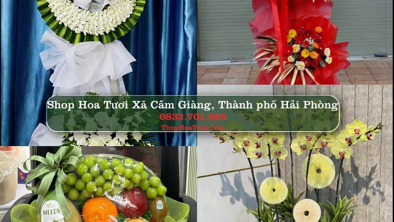Shop Hoa Tươi Xã Cẩm Giàng - Thành phố Hải Phòng