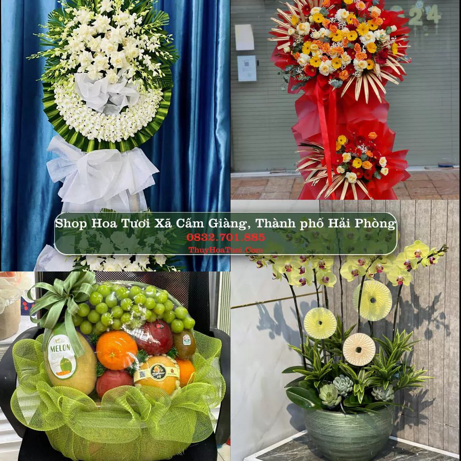 Shop Hoa Tươi Xã Cẩm Giàng - Thành phố Hải Phòng
