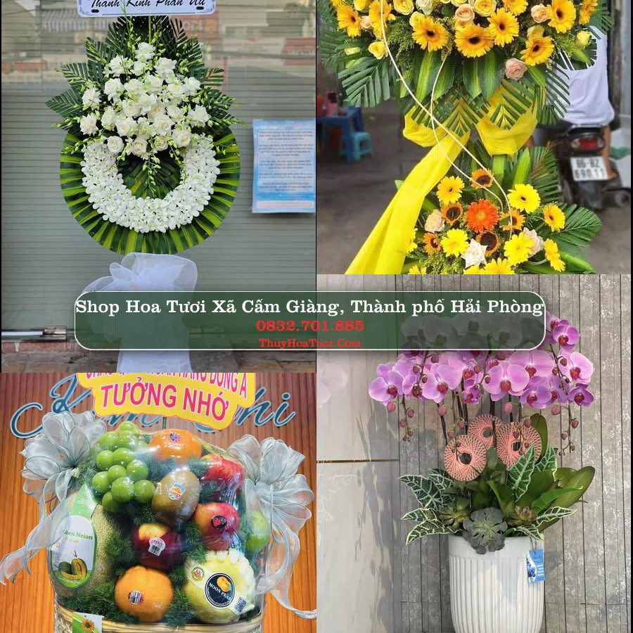 Shop hoa tươi Xã Cẩm Giàng, Thành phố Hải Phòng - ThuyHoaTuoi.Com giao hoa tận nơi
