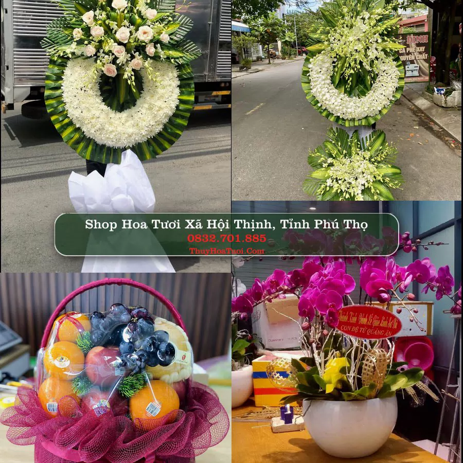 Shop hoa tươi Xã Hội Thịnh, Tỉnh Phú Thọ - ThuyHoaTuoi.Com giao hoa tận nơi