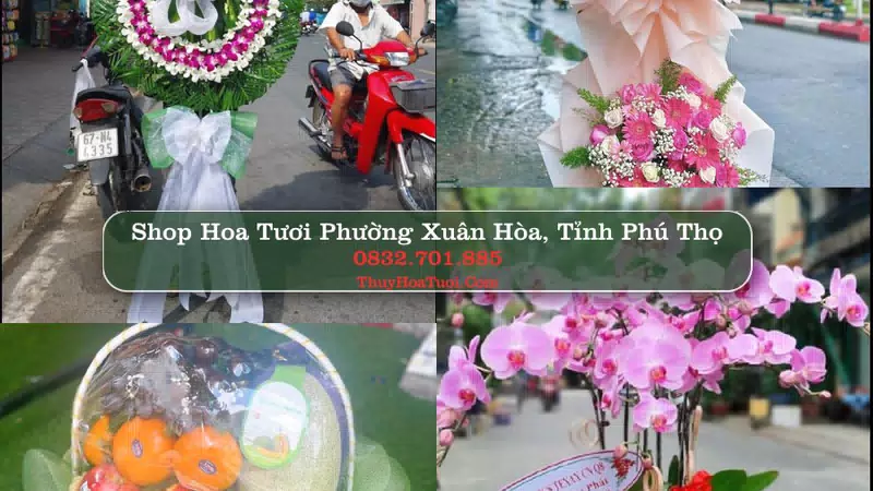 Shop Hoa Tươi Phường Xuân Hòa - Tỉnh Phú Thọ