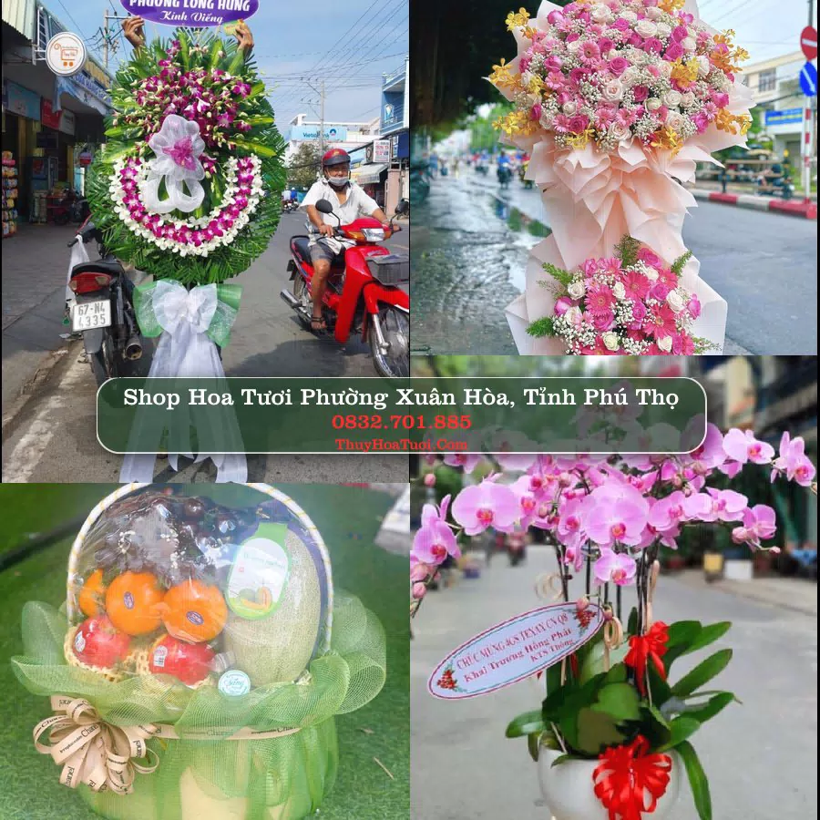 Shop Hoa Tươi Phường Xuân Hòa - Tỉnh Phú Thọ