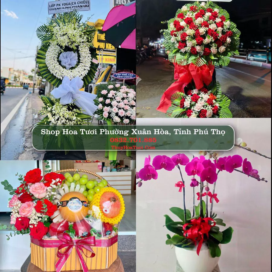Shop hoa tươi Phường Xuân Hòa, Tỉnh Phú Thọ - ThuyHoaTuoi.Com giao hoa tận nơi