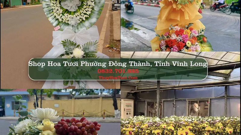 Shop Hoa Tươi Phường Đông Thành - Tỉnh Vĩnh Long