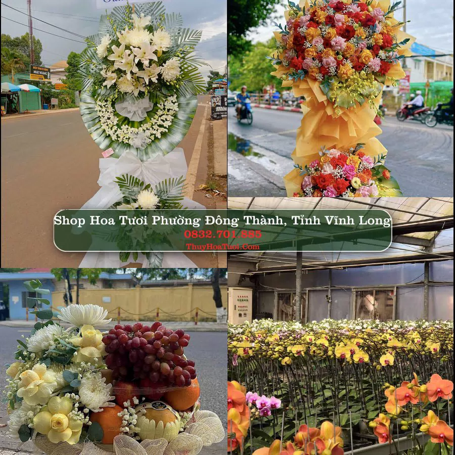 Shop Hoa Tươi Phường Đông Thành - Tỉnh Vĩnh Long