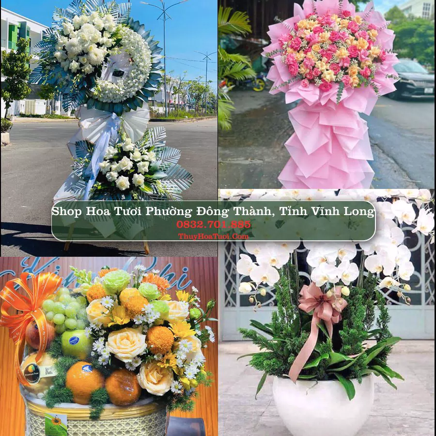 Shop hoa tươi Phường Đông Thành, Tỉnh Vĩnh Long - ThuyHoaTuoi.Com giao hoa tận nơi