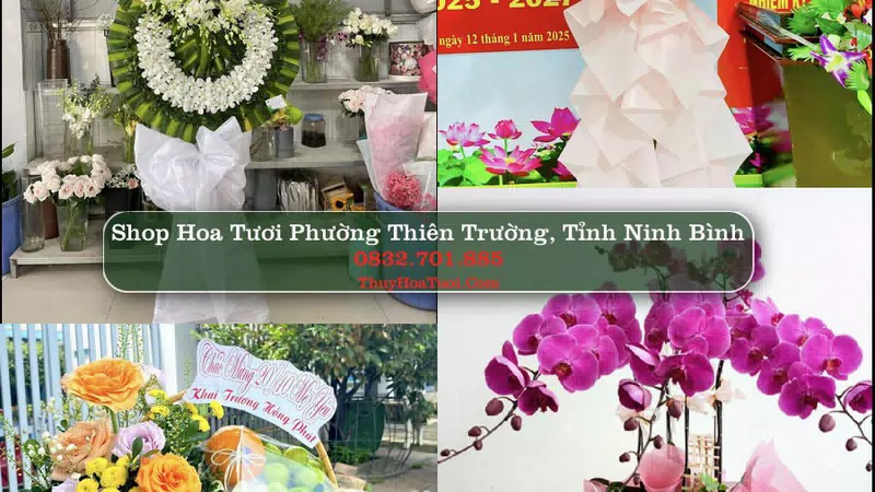 Shop Hoa Tươi Phường Thiên Trường - Tỉnh Ninh Bình