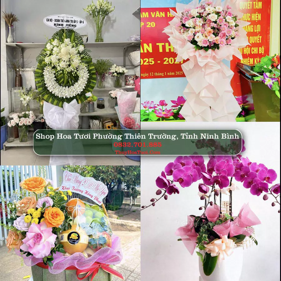 Shop Hoa Tươi Phường Thiên Trường - Tỉnh Ninh Bình