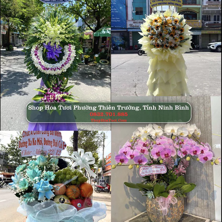 Shop hoa tươi Phường Thiên Trường, Tỉnh Ninh Bình - ThuyHoaTuoi.Com giao hoa tận nơi
