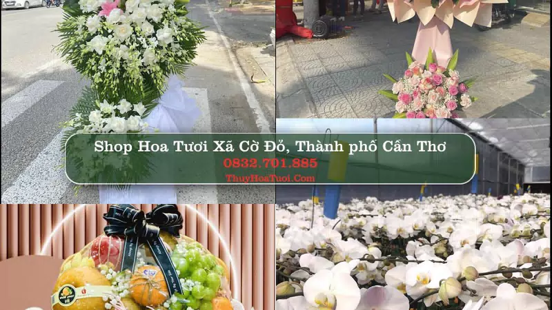 Shop Hoa Tươi Xã Cờ Đỏ - Thành phố Cần Thơ