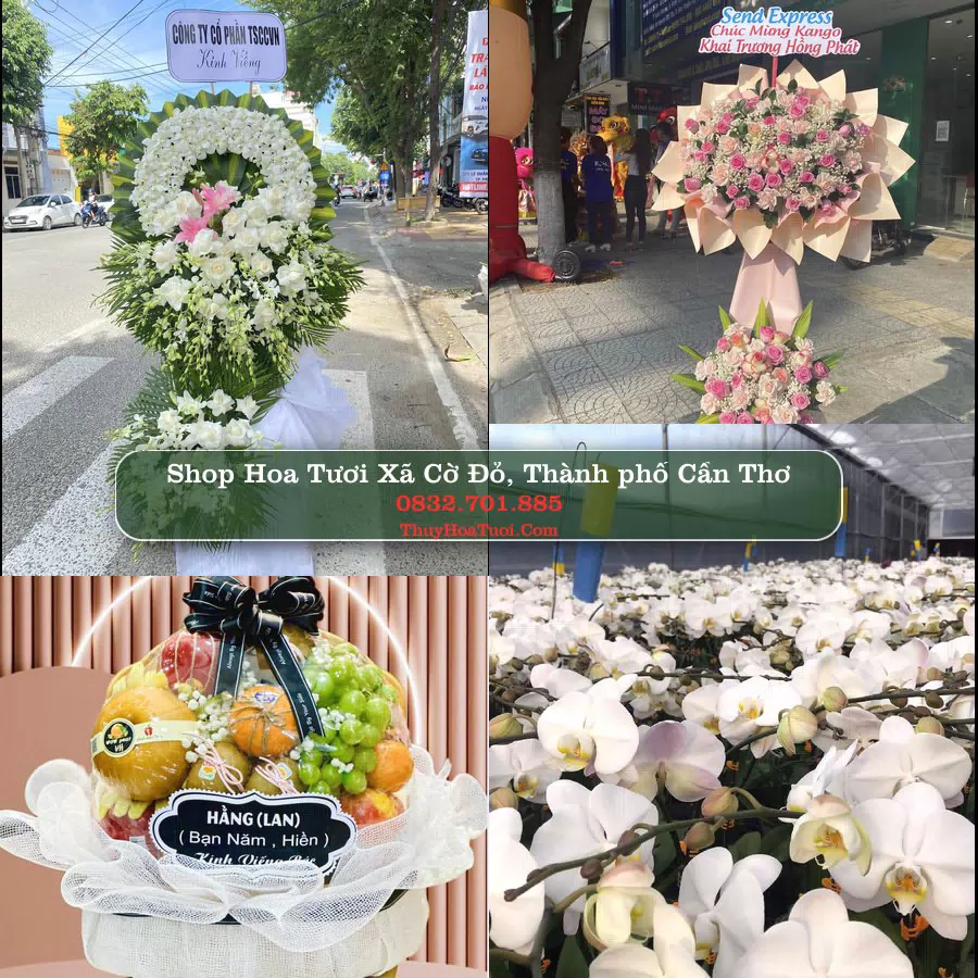 Shop Hoa Tươi Xã Cờ Đỏ - Thành phố Cần Thơ