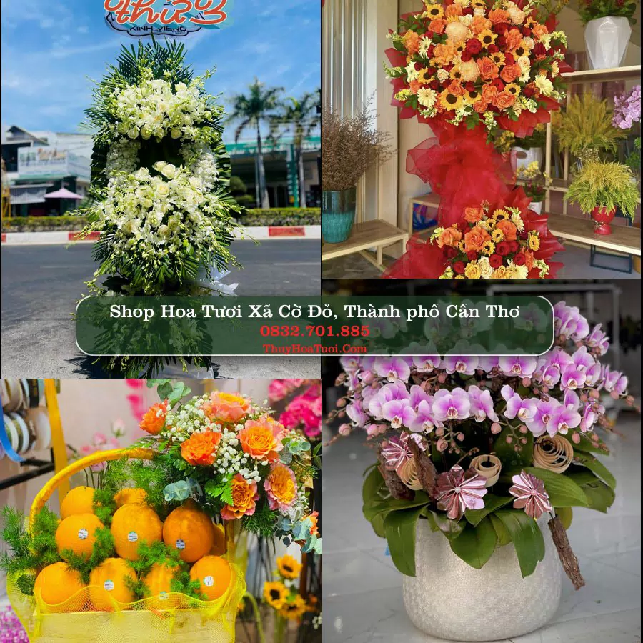 Shop hoa tươi Xã Cờ Đỏ, Thành phố Cần Thơ - ThuyHoaTuoi.Com giao hoa tận nơi