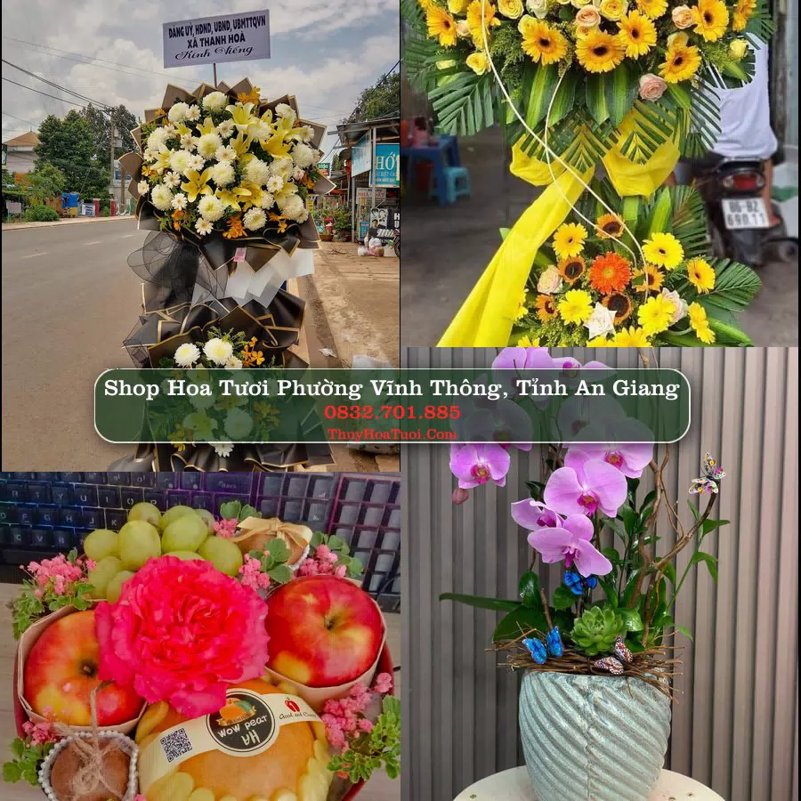 Shop hoa tươi Phường Vĩnh Thông, Tỉnh An Giang - ThuyHoaTuoi.Com giao hoa tận nơi