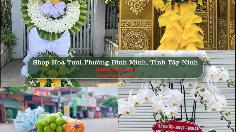 Shop Hoa Tươi Phường Bình Minh - Tỉnh Tây Ninh