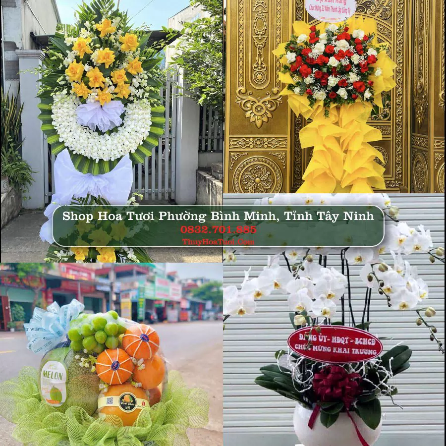 Shop Hoa Tươi Phường Bình Minh - Tỉnh Tây Ninh