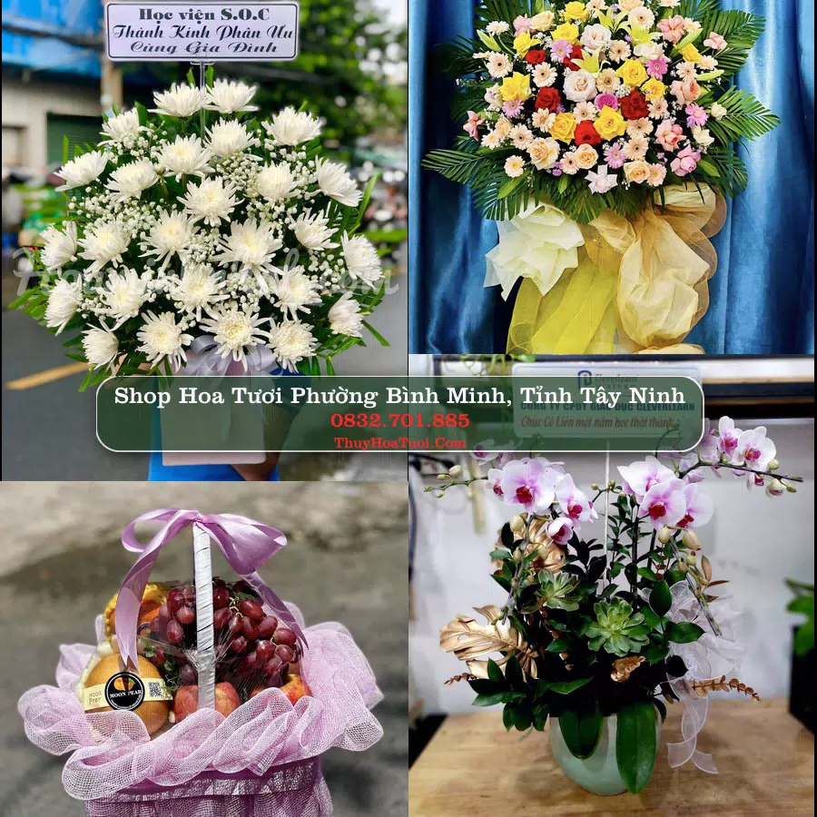 Shop hoa tươi Phường Bình Minh, Tỉnh Tây Ninh - ThuyHoaTuoi.Com giao hoa tận nơi