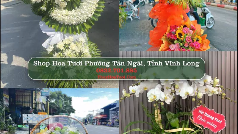 Shop Hoa Tươi Phường Tân Ngãi - Tỉnh Vĩnh Long