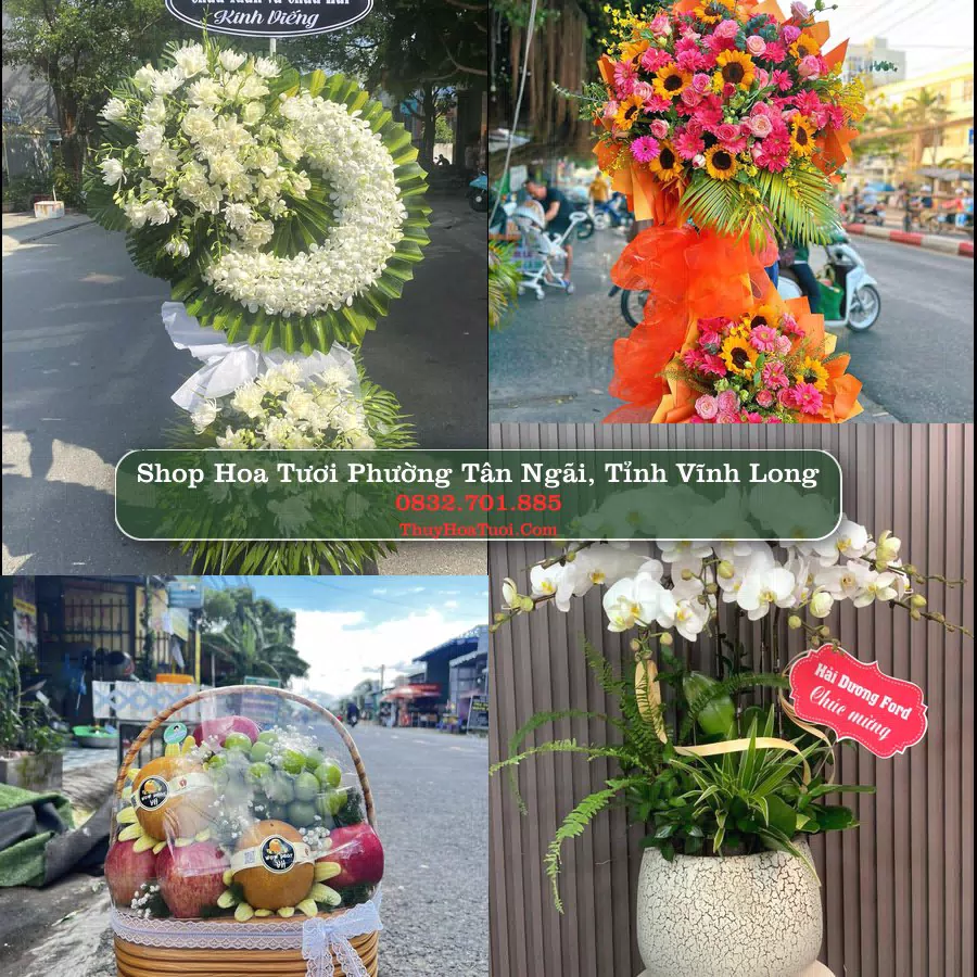 Shop Hoa Tươi Phường Tân Ngãi - Tỉnh Vĩnh Long