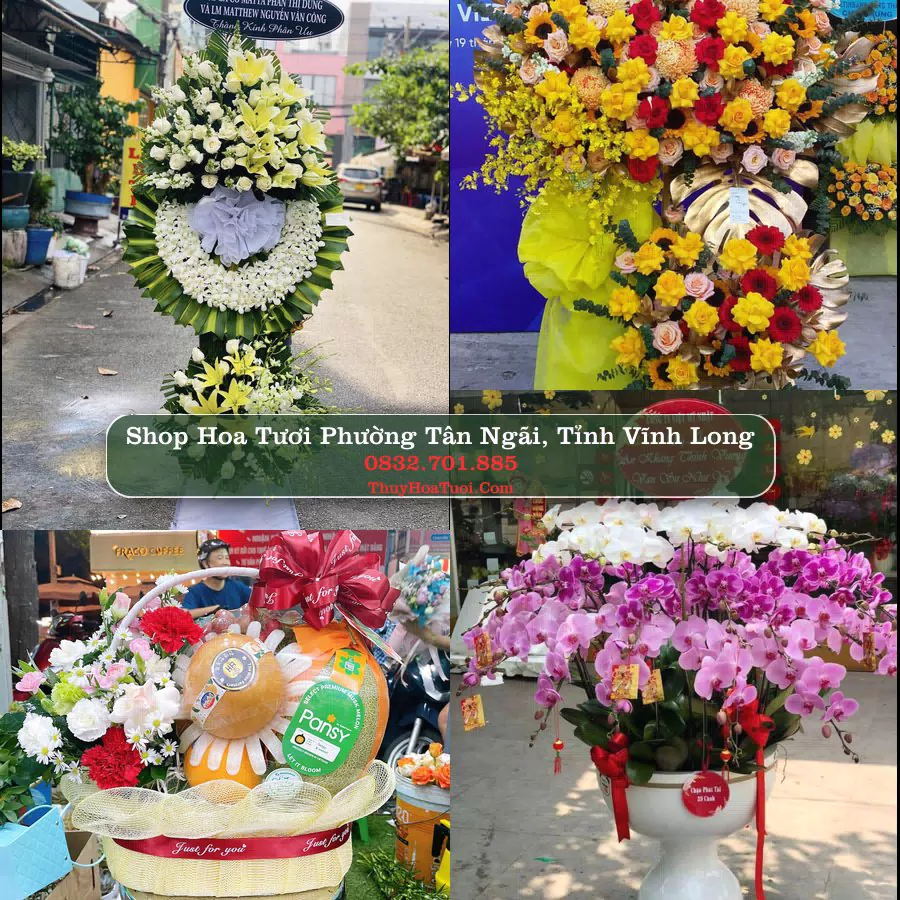 Shop hoa tươi Phường Tân Ngãi, Tỉnh Vĩnh Long - ThuyHoaTuoi.Com giao hoa tận nơi