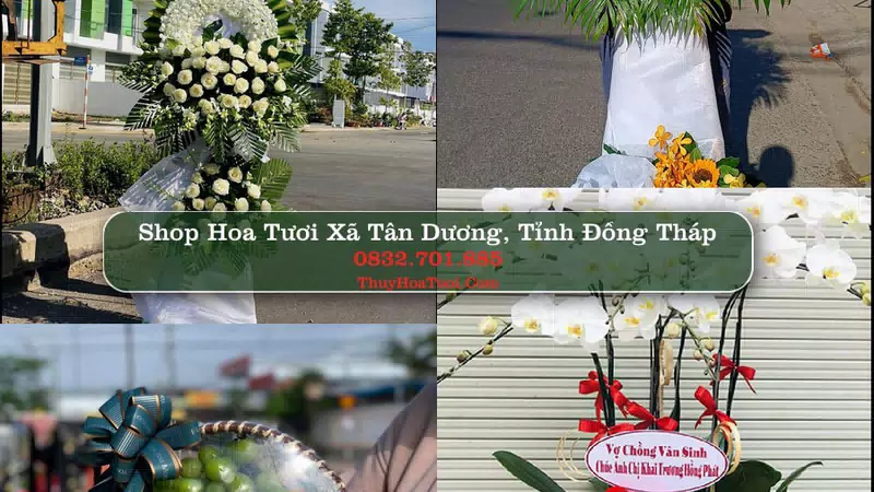Shop Hoa Tươi Xã Tân Dương - Tỉnh Đồng Tháp