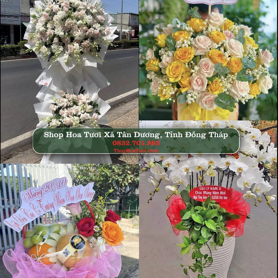 Shop hoa tươi Xã Tân Dương, Tỉnh Đồng Tháp - ThuyHoaTuoi.Com giao hoa tận nơi