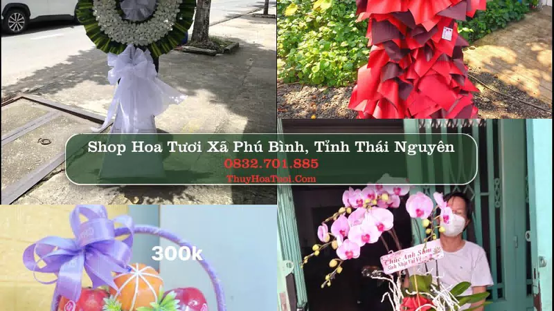 Shop Hoa Tươi Xã Phú Bình - Tỉnh Thái Nguyên