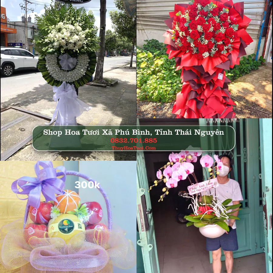 Shop Hoa Tươi Xã Phú Bình - Tỉnh Thái Nguyên