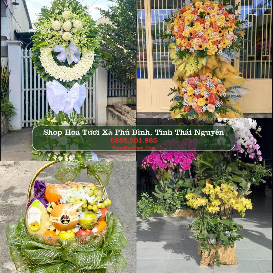 Shop hoa tươi Xã Phú Bình, Tỉnh Thái Nguyên - ThuyHoaTuoi.Com giao hoa tận nơi