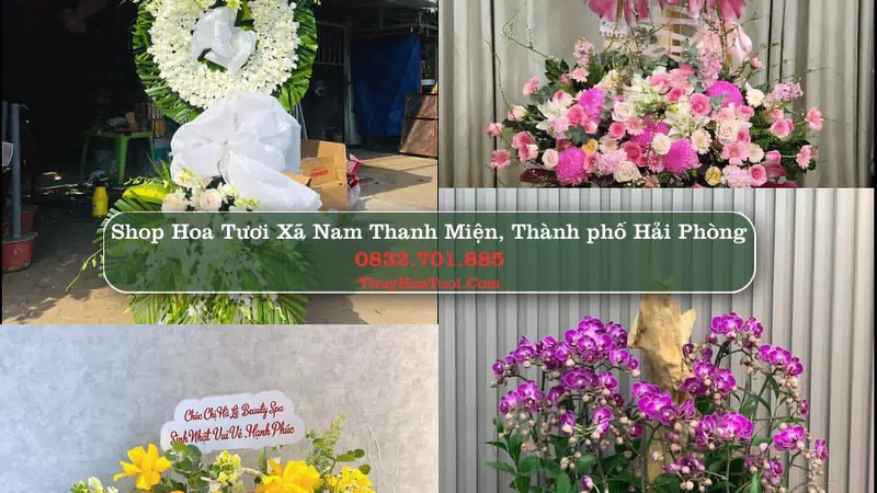 Shop Hoa Tươi Xã Nam Thanh Miện - Thành phố Hải Phòng