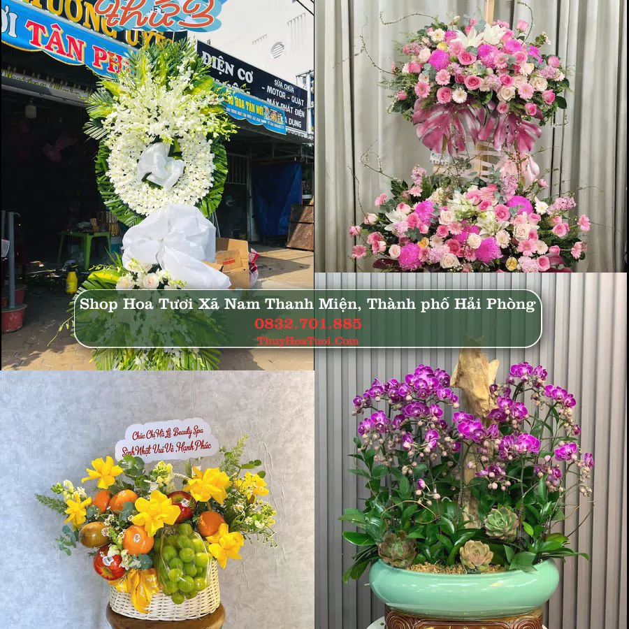 Shop Hoa Tươi Xã Nam Thanh Miện - Thành phố Hải Phòng