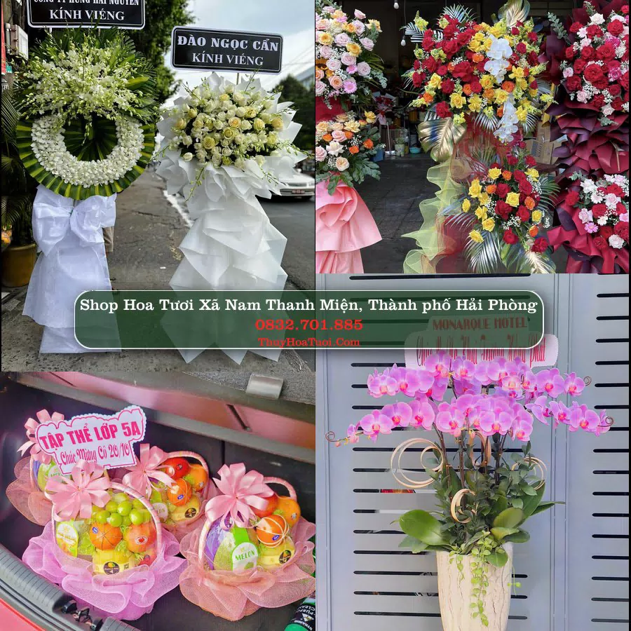 Shop hoa tươi Xã Nam Thanh Miện, Thành phố Hải Phòng - ThuyHoaTuoi.Com giao hoa tận nơi