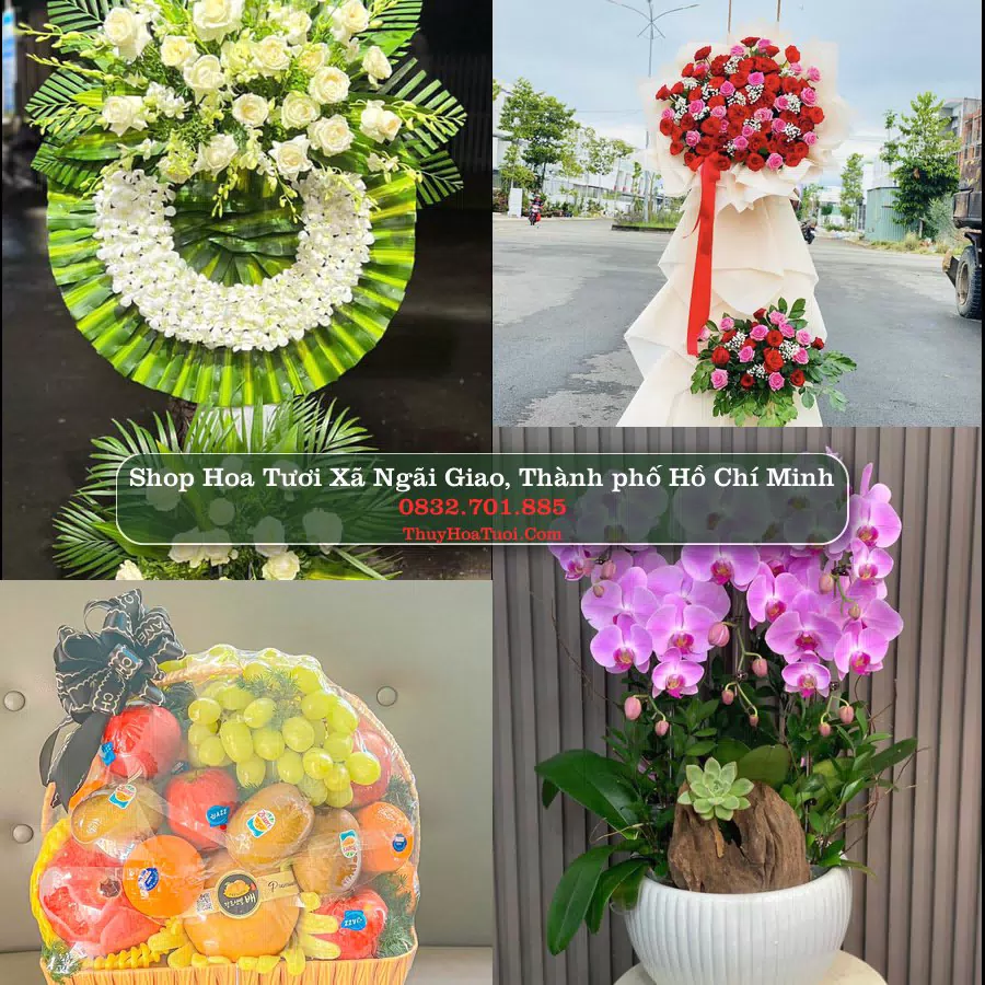 Shop hoa tươi Xã Ngãi Giao, Thành phố Hồ Chí Minh - ThuyHoaTuoi.Com giao hoa tận nơi