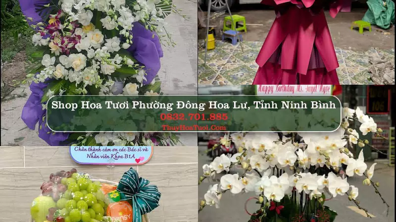 Shop Hoa Tươi Phường Đông Hoa Lư - Tỉnh Ninh Bình