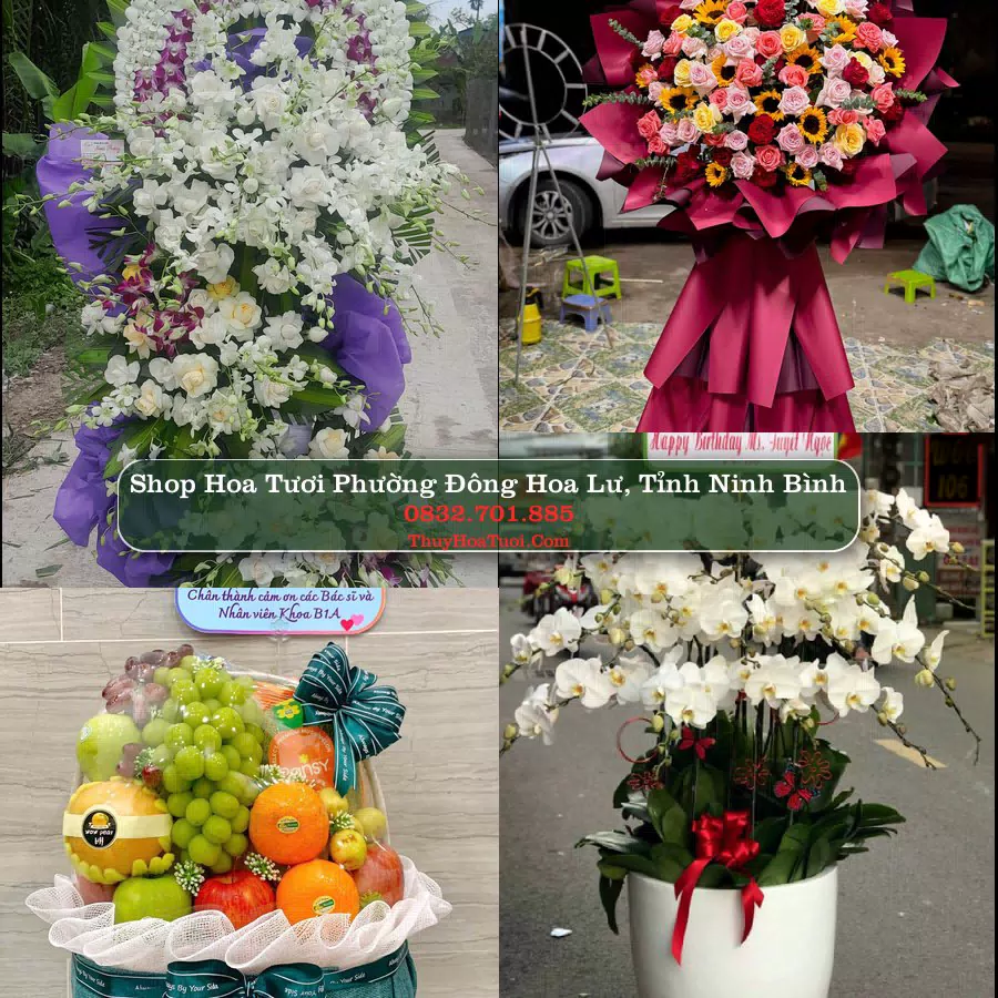 Shop Hoa Tươi Phường Đông Hoa Lư - Tỉnh Ninh Bình