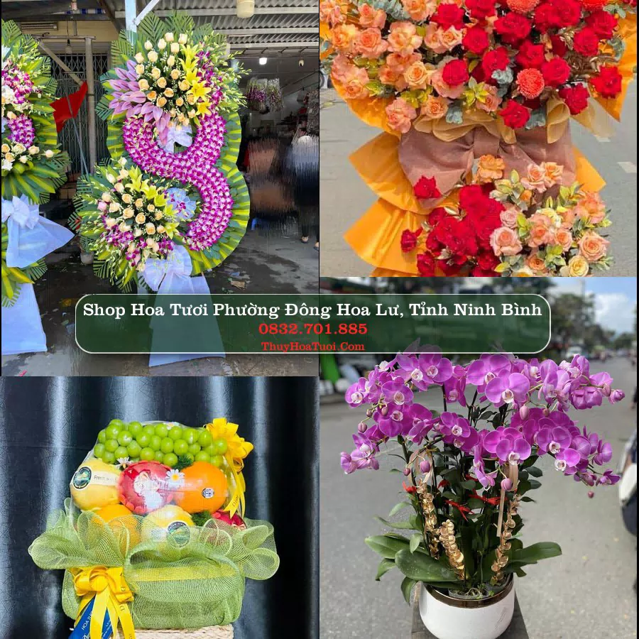 Shop hoa tươi Phường Đông Hoa Lư, Tỉnh Ninh Bình - ThuyHoaTuoi.Com giao hoa tận nơi