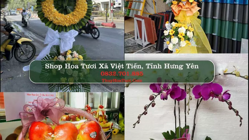 Shop Hoa Tươi Xã Việt Tiến - Tỉnh Hưng Yên