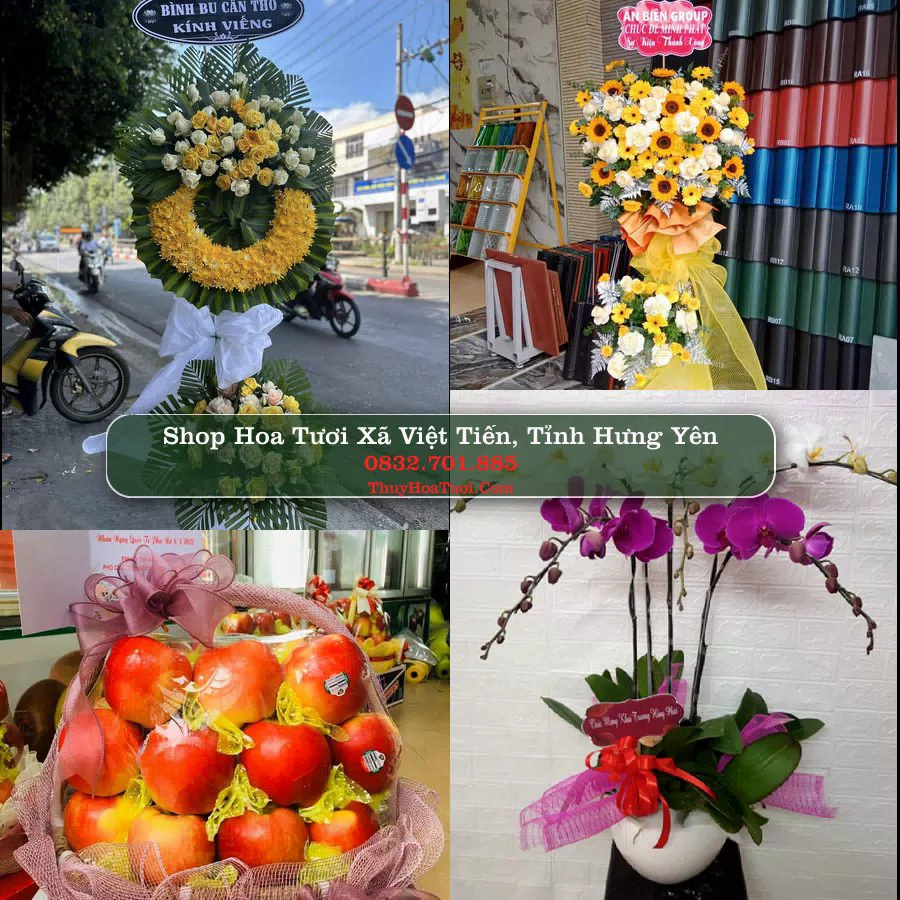 Shop Hoa Tươi Xã Việt Tiến - Tỉnh Hưng Yên