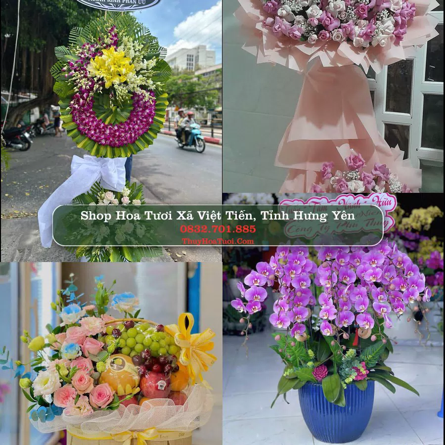 Shop hoa tươi Xã Việt Tiến, Tỉnh Hưng Yên - ThuyHoaTuoi.Com giao hoa tận nơi