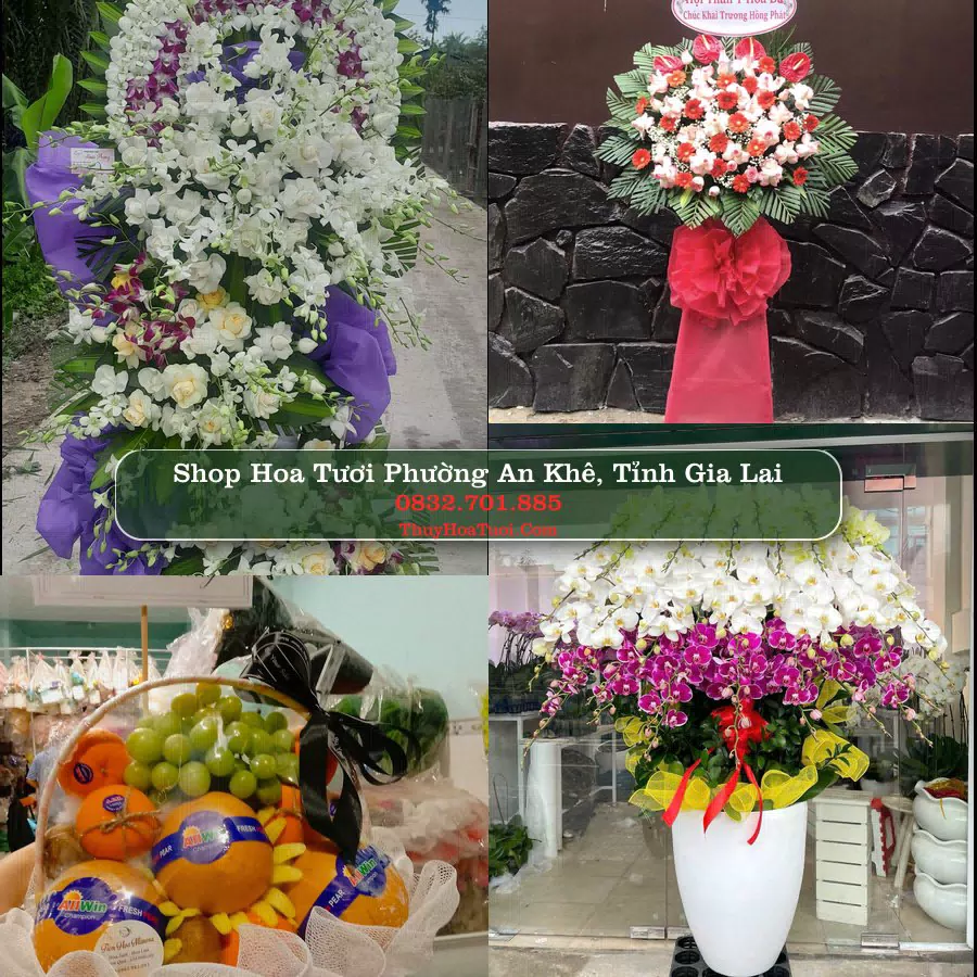 Shop hoa tươi Phường An Khê, Tỉnh Gia Lai - ThuyHoaTuoi.Com giao hoa tận nơi