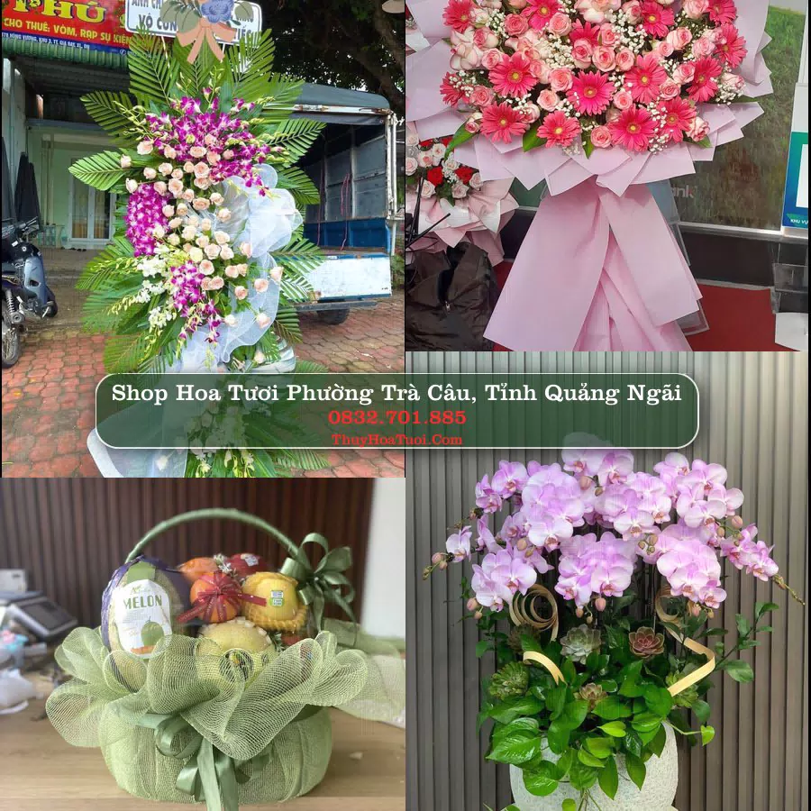 Shop Hoa Tươi Phường Trà Câu - Tỉnh Quảng Ngãi