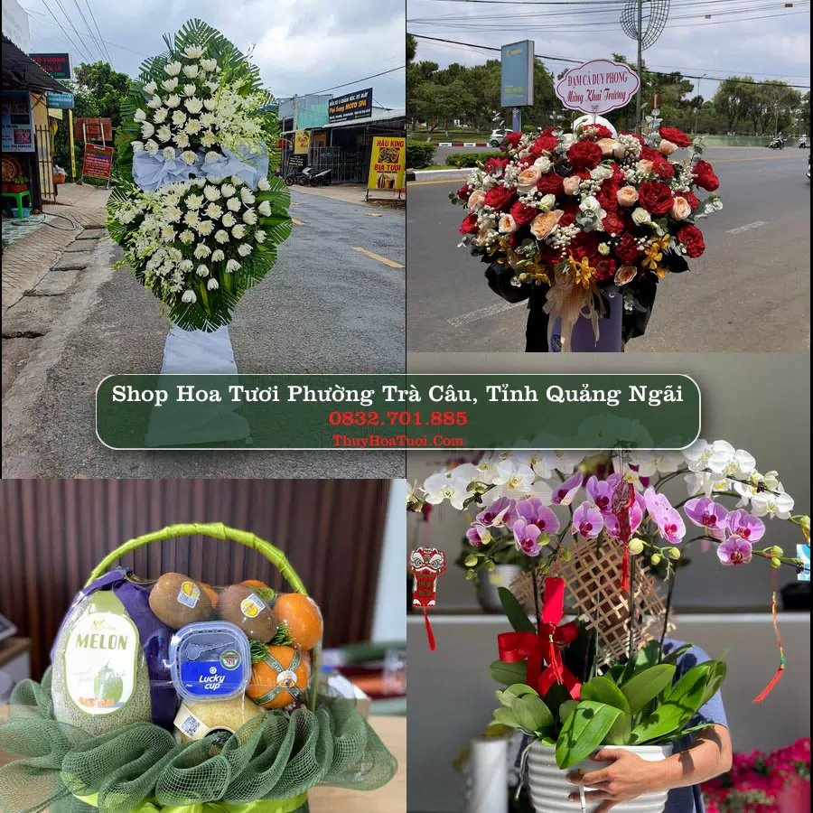 Shop hoa tươi Phường Trà Câu, Tỉnh Quảng Ngãi - ThuyHoaTuoi.Com giao hoa tận nơi