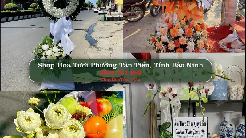 Shop Hoa Tươi Phường Tân Tiến - Tỉnh Bắc Ninh
