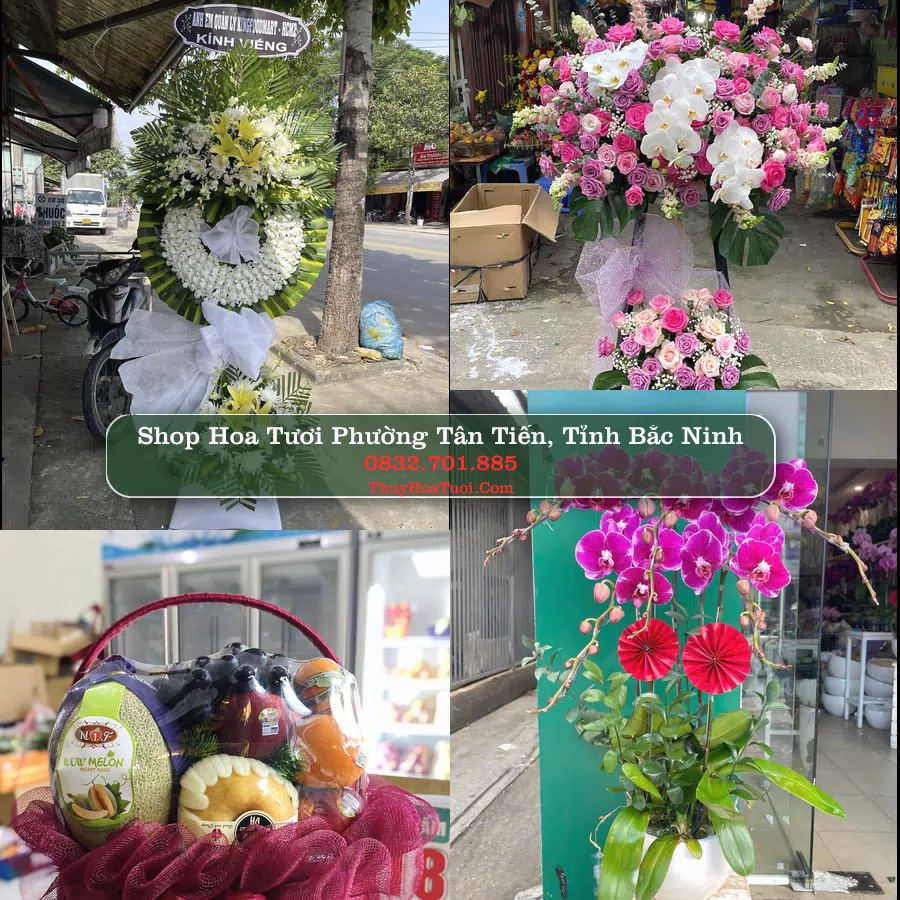 Shop hoa tươi Phường Tân Tiến, Tỉnh Bắc Ninh - ThuyHoaTuoi.Com giao hoa tận nơi