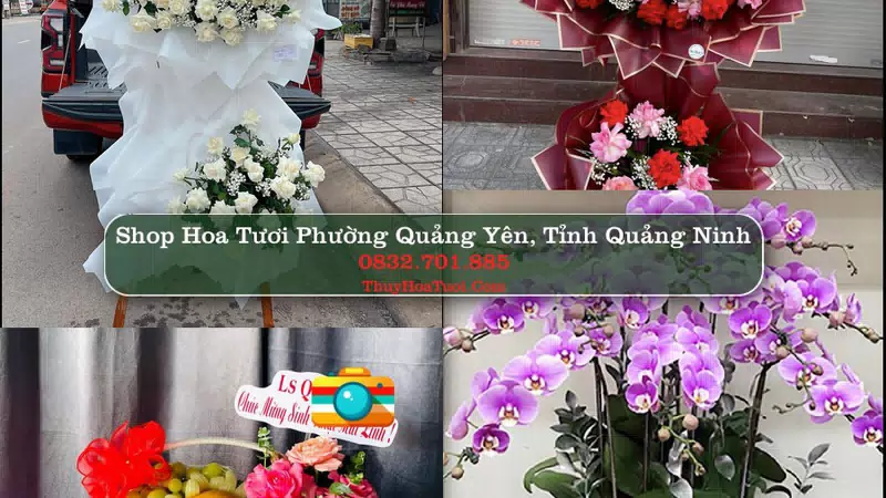 Shop Hoa Tươi Phường Quảng Yên - Tỉnh Quảng Ninh