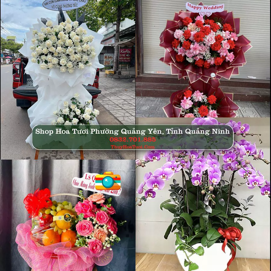 Shop Hoa Tươi Phường Quảng Yên - Tỉnh Quảng Ninh
